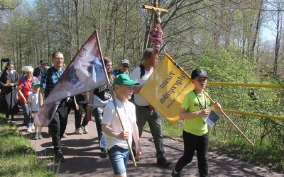 Setka pielgrzymów na diecezjalnych drogach