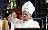 Trzeba brać odpowiedzialność za Kościół na siebie