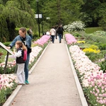 Wiosna w Ogrodzie Botanicznym