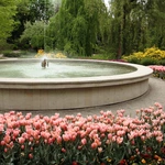 Wiosna w Ogrodzie Botanicznym