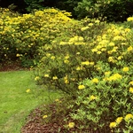 Wiosna w Ogrodzie Botanicznym