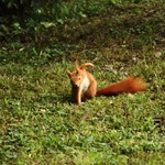 Wiosna w Ogrodzie Botanicznym