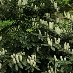 Wiosna w Ogrodzie Botanicznym