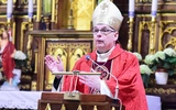 Złota róża to płatki, wspaniała woń i kolce