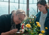 W weekend w tv i na VOD: Usłane różami