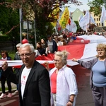 Wielkie świadectwo życia na ulicach Żar