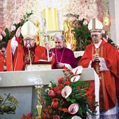Uroczystości przewodniczył kard. Stanisław Dziwisz.