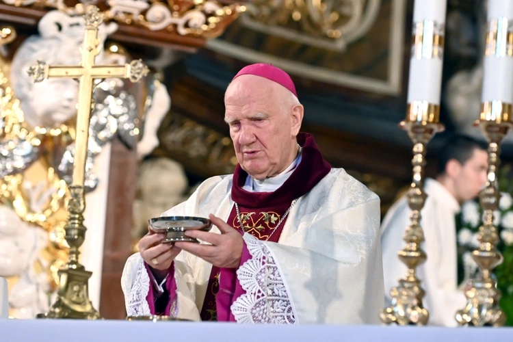 Jubileusz 25-lecia święceń prezbiteratu w świdnickiej katedrze