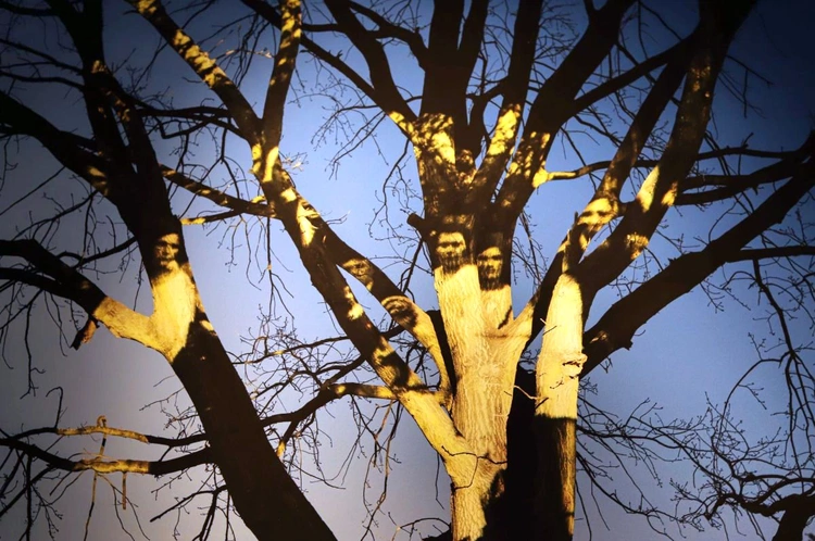 Topografia nieobecności. Wystawa fotografii Kateriny Kouzmitchevej