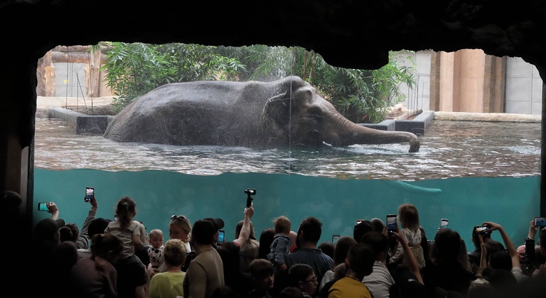Z wizytą w Łódzkim ZOO