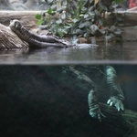 Z wizytą w Łódzkim ZOO