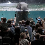Z wizytą w Łódzkim ZOO