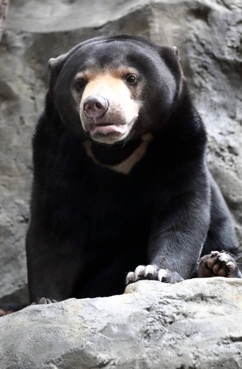Z wizytą w Łódzkim ZOO