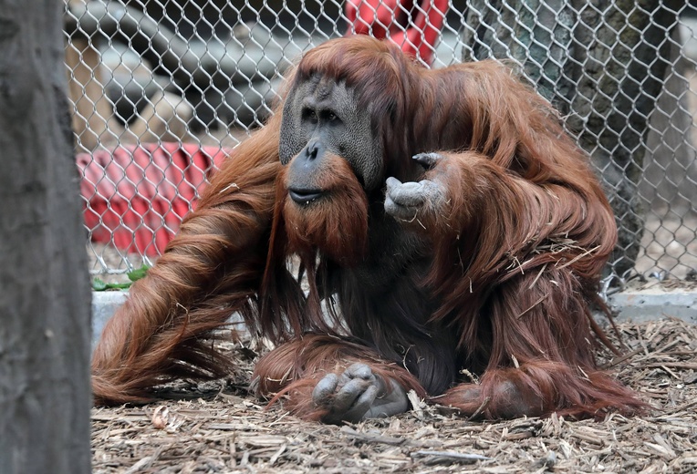 Z wizytą w Łódzkim ZOO