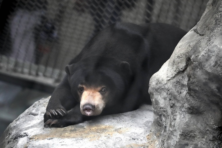 Z wizytą w Łódzkim ZOO