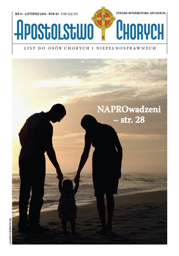 Nasza Okładka 11/2016