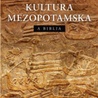 Kultura Mezopotamska, a Biblia