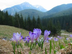 Słowacja: Tatry ponownie otwarte