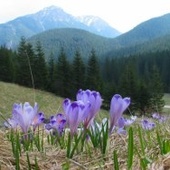 Słowacja: Tatry ponownie otwarte