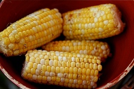 Za i przeciw GMO