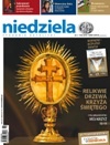 Niedziela 11/2010